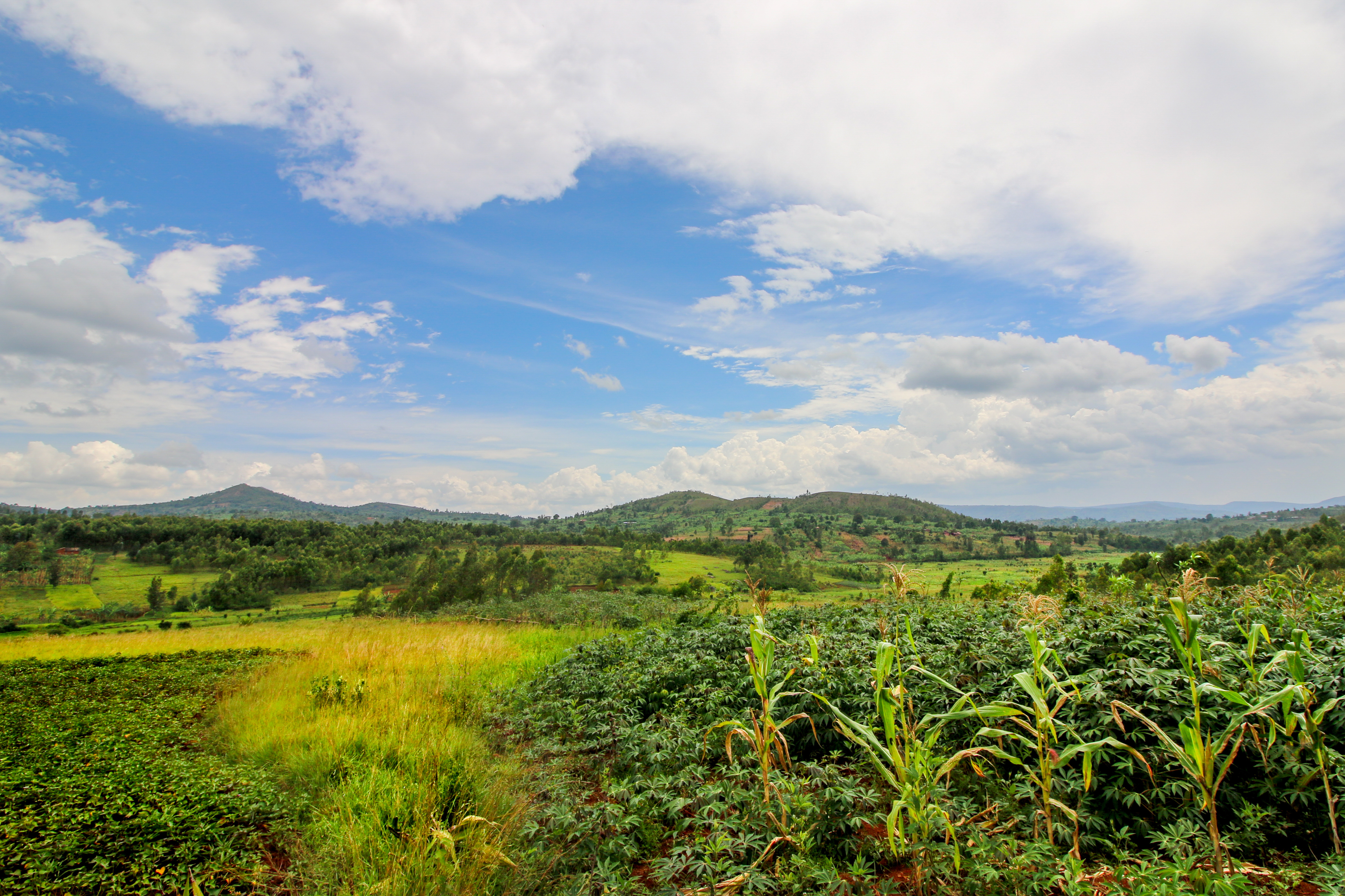 From farm to forex: Insights from Trade Legacy Burundi