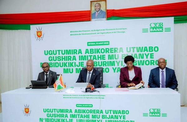 Burundi Sets Up $100.5 Million Credit Facility for Agribusiness Investors